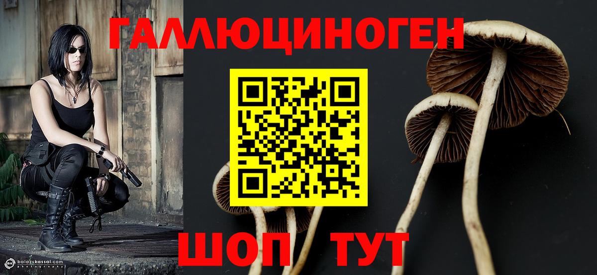 Галлюциногенные грибы мицелий  Вход с VPN  Отрадный 