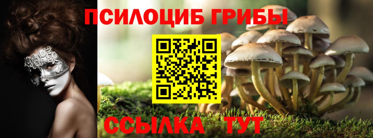 Псилоцибиновые грибы прущие грибы Отрадный